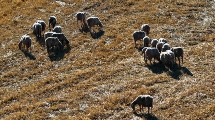 Λέσβος: 5 νέα κρούσματα και χιλιάδες έλεγχοι