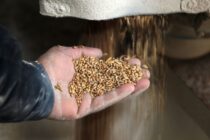 Η κρίση τροφίμων ξεκίνησε ήδη