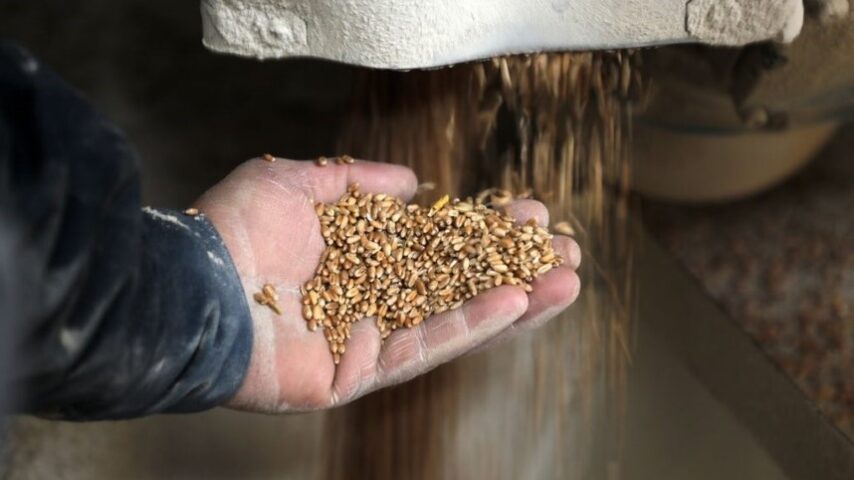 Η κρίση τροφίμων ξεκίνησε ήδη