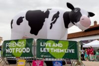 Ακτιβισμός κατά των σφαγών ζώων – Μόδα ή τάση και τι επηρεάζει