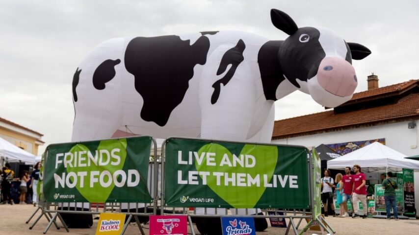 Ακτιβισμός κατά των σφαγών ζώων – Μόδα ή τάση και τι επηρεάζει