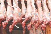 Αμνοερίφια 2026: Παραγωγή και ζήτηση στην Ελλάδα