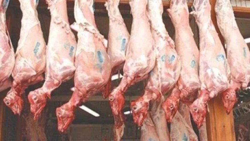 Αμνοερίφια 2026: Παραγωγή και ζήτηση στην Ελλάδα