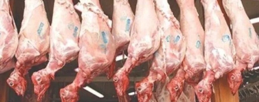 Αμνοερίφια 2026: Παραγωγή και ζήτηση στην Ελλάδα