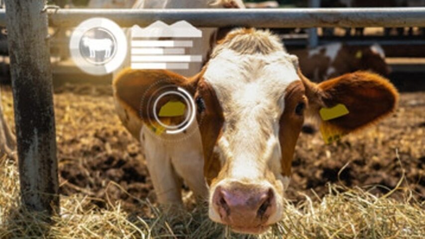 Τηλεκπαίδευση για κτηνοτρόφους μέχρι τον Απρίλη