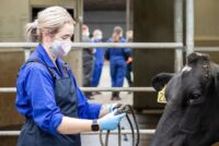 Λαζαρίδης: Άμεσες απαντήσεις στα κρούσματα