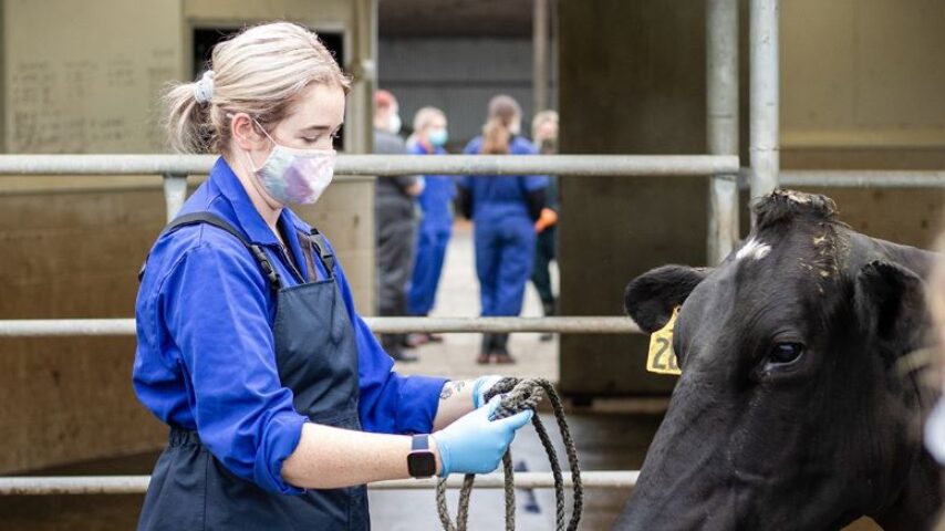 Λαζαρίδης: Άμεσες απαντήσεις στα κρούσματα