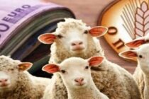 Ζητούν πίσω λεφτά αγροτών – Τα λάθη του συστήματος τα πληρώνει ο παραγωγός