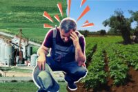 Χωρίς ζώα, χωρίς ενίσχυση – Διπλό χτύπημα στους κτηνοτρόφους