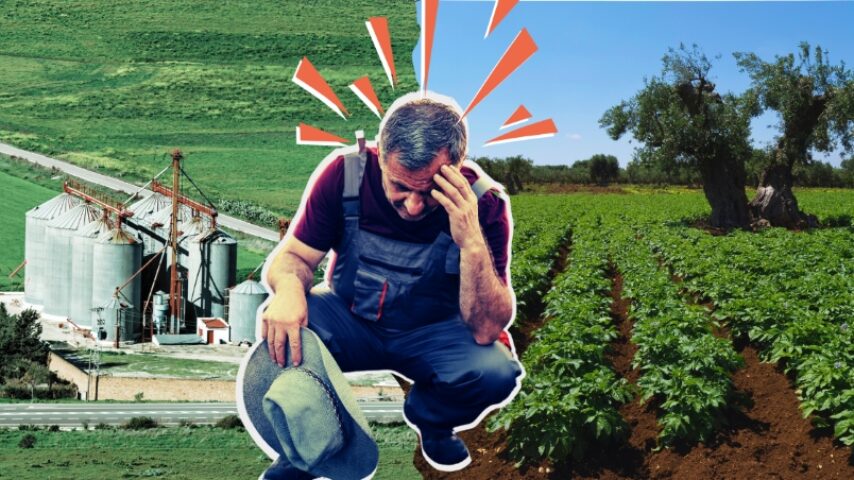 Χωρίς ζώα, χωρίς ενίσχυση – Διπλό χτύπημα στους κτηνοτρόφους