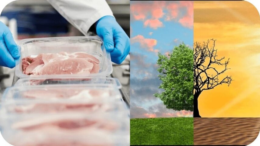 Κρέας υπό πίεση παραγωγής και βιωσιμότητας