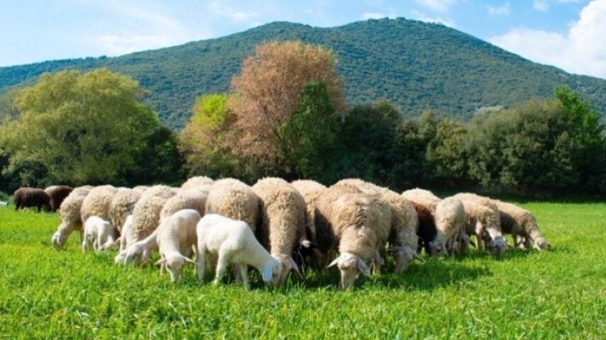 Στο δρόμο οι αγρότες της Λέσβου
