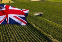 Brexit: Πίεση στη βρετανική γεωργία