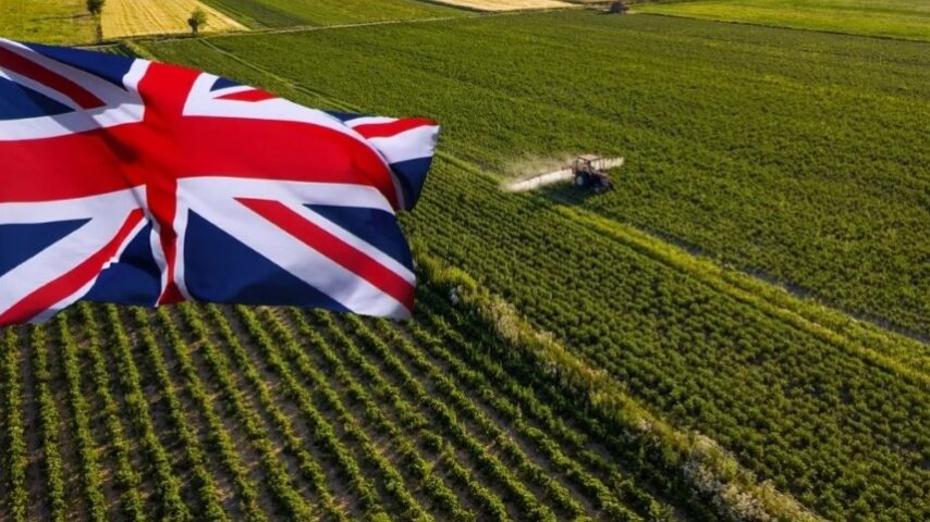 Brexit: Πίεση στη βρετανική γεωργία