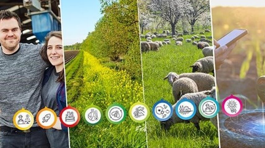 Η μάχη των επιδοτήσεων