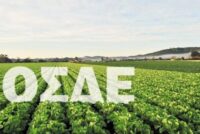Αλλάζει το παιχνίδι στο ΟΣΔΕ