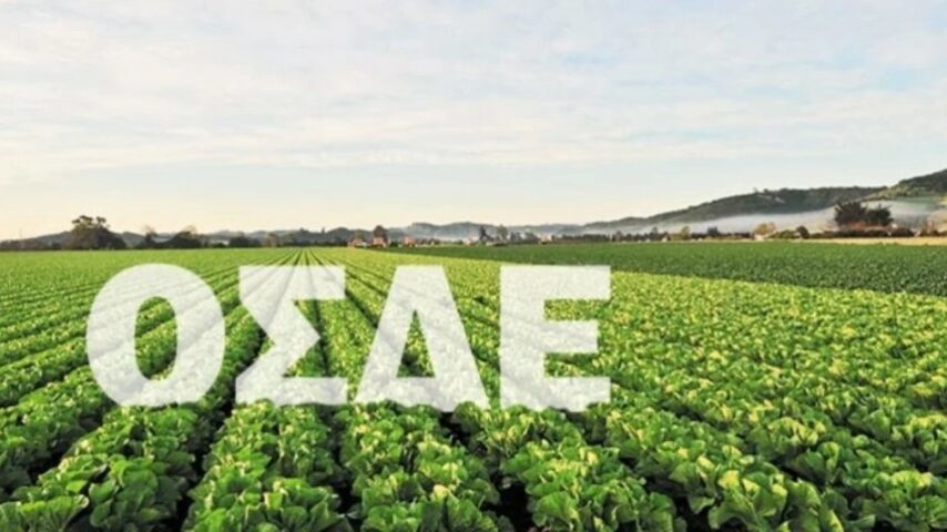 Αλλάζει το παιχνίδι στο ΟΣΔΕ