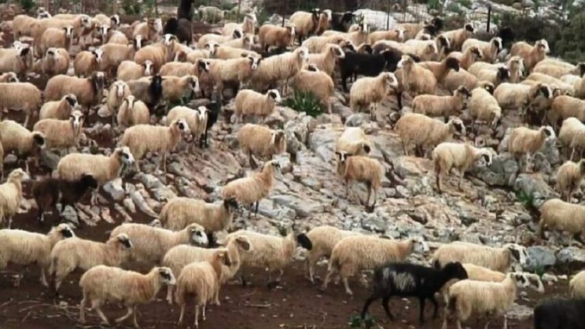 Ζώνες μάχης για τη Λέσβο