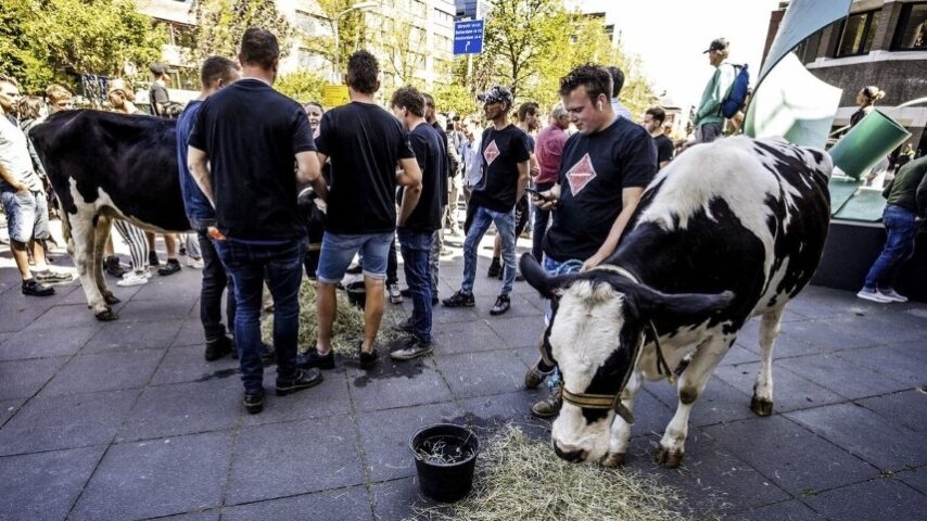Ολλανδία: Τρακτέρ στους δρόμους για την κτηνοτροφία