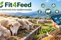Ένωση Αγρινίου και Γεωπονικό δοκιμάζουν νέο τρόπο πάχυνσης αρνιών Fit4Feed
