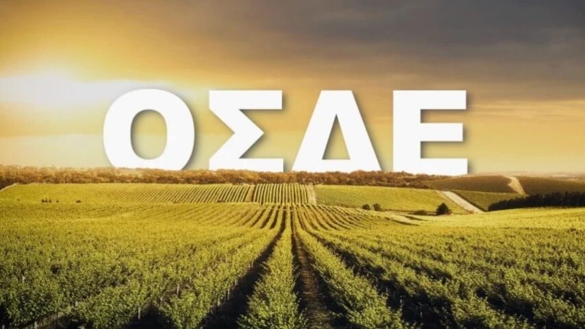 Χωρίς ΜΑΑΕ το ΟΣΔΕ του 2026